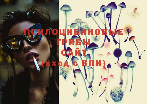 мяу мяу мука Абаза